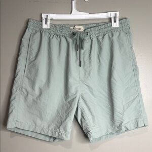 Madewell Men's Light Green Shorts Medium